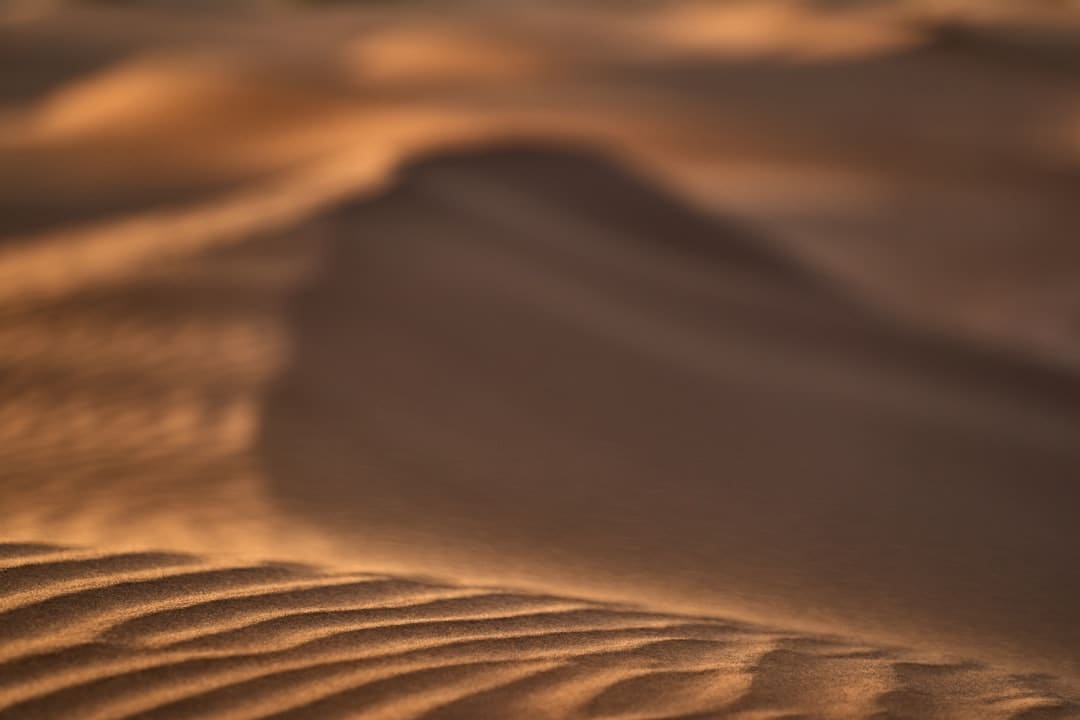 https://img1.utuku.imgcdc.com/650x0/news/20250905/94bd9b24-335e-47ed-81a1-3c742d0b308d.jpg